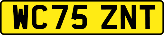 WC75ZNT