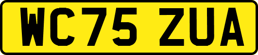 WC75ZUA
