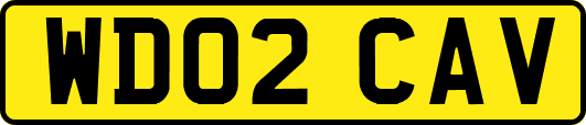 WD02CAV
