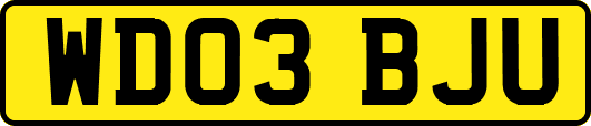 WD03BJU
