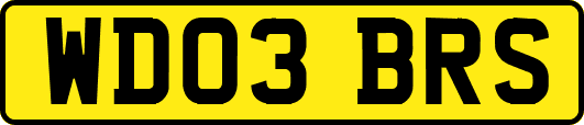 WD03BRS