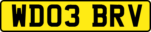 WD03BRV