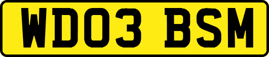 WD03BSM