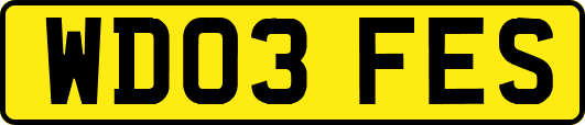 WD03FES