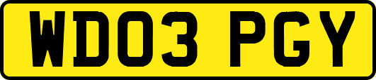 WD03PGY