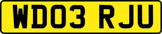 WD03RJU