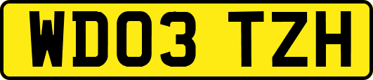 WD03TZH