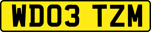 WD03TZM