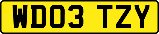 WD03TZY