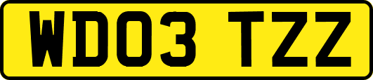 WD03TZZ