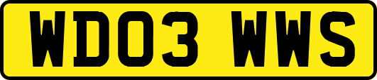 WD03WWS