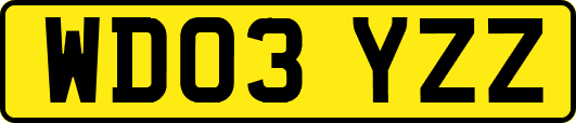 WD03YZZ