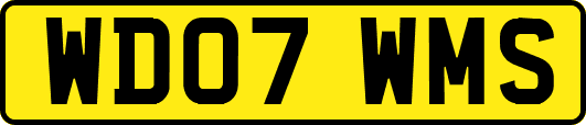 WD07WMS