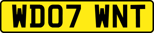 WD07WNT