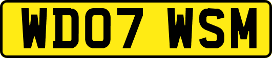WD07WSM