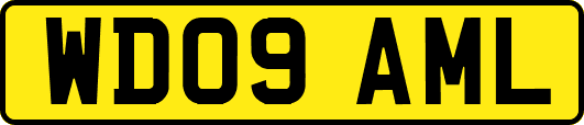 WD09AML