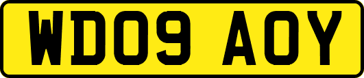 WD09AOY