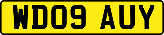 WD09AUY
