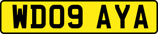 WD09AYA
