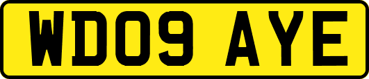 WD09AYE