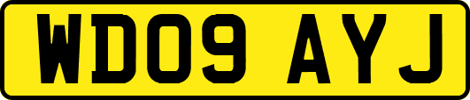 WD09AYJ