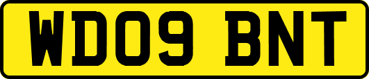 WD09BNT