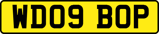 WD09BOP