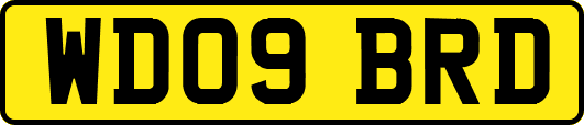 WD09BRD
