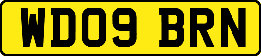 WD09BRN