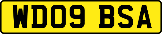 WD09BSA