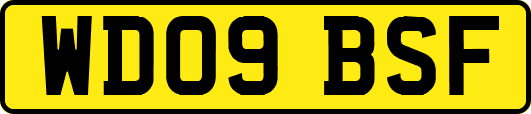 WD09BSF