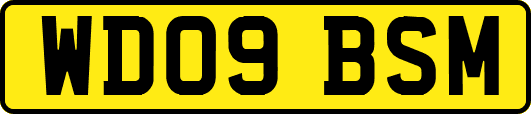 WD09BSM