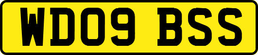 WD09BSS