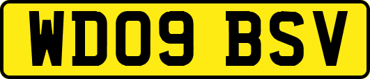 WD09BSV