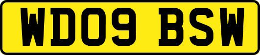 WD09BSW