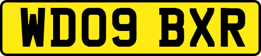 WD09BXR