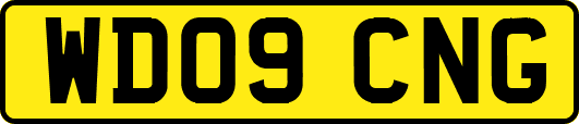 WD09CNG