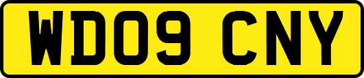 WD09CNY