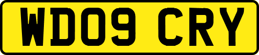 WD09CRY