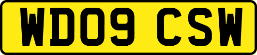 WD09CSW