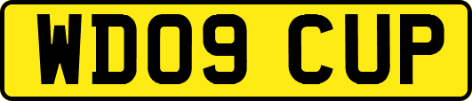 WD09CUP