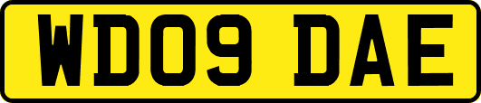 WD09DAE