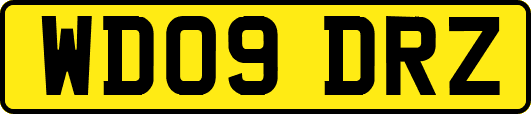 WD09DRZ