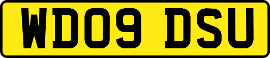 WD09DSU