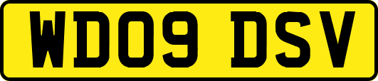 WD09DSV