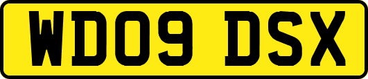 WD09DSX