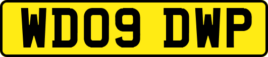 WD09DWP