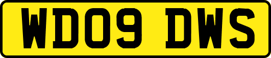 WD09DWS