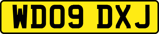 WD09DXJ