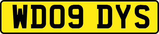 WD09DYS